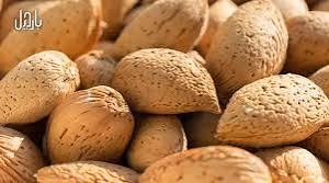 بادام درختی مرغوب + قیمت به صرفه